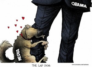 Media Lap Dog