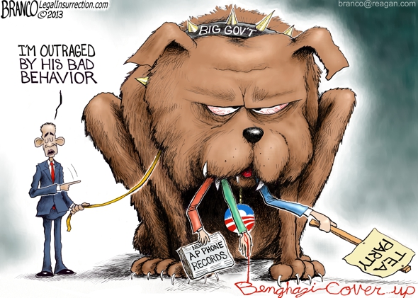 IRS Scandal Dog