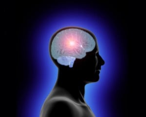 Intellectual Property - Brain