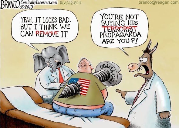 Obamacare-Screw-2013