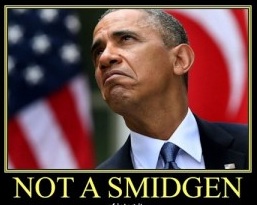 Not Smidgen Obama IRS